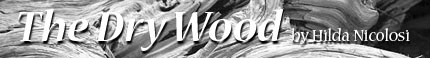 DryWoodBanner2.jpg