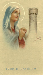 TURRIS-DAVIDICA.jpg