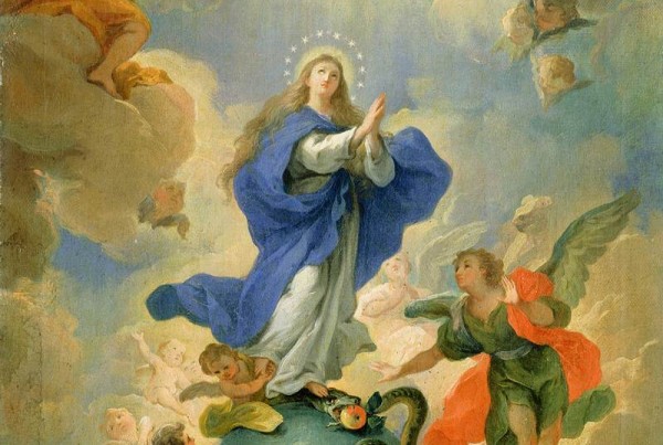 3265-the-immaculate-conception-martino-altomonte.jpg