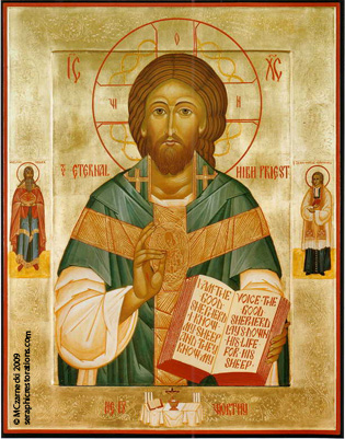 icon-315.jpg