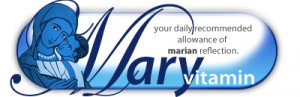 mvtitlebar1-300x97.jpg