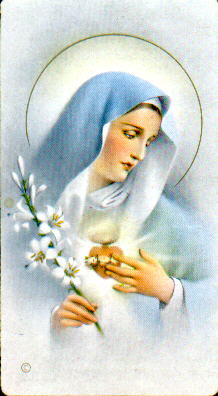 bvm1.jpg