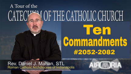 tccc0076.png