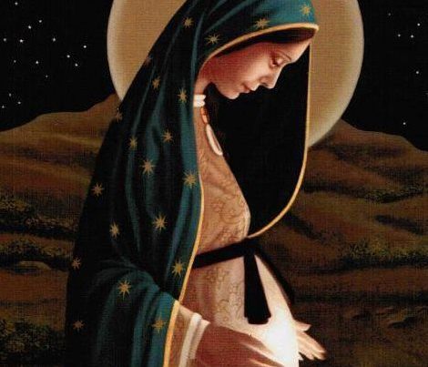 Pregnant-BVM.jpg