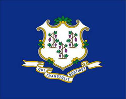 flag_conn.jpg