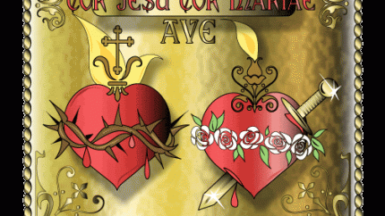 image7.gif