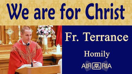 FS #32: Dogmatic Christocentrism, Part 4 – Jun 28 – Homily – Fr Terrance