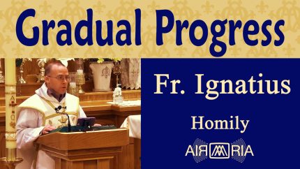 Gradual Progress in Faith, Truth, holiness – May 28 – Homily – Fr Ignatius