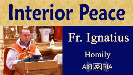 Christ’s Victory Over Suffering and Death – Jun 02 – Homily – Fr Ignatius