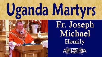 Faithful to Christ Amid Temptation – Jun 03 – Homily – Fr Joseph M.
