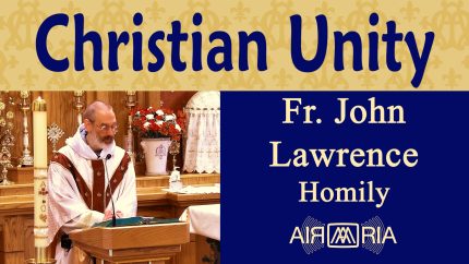 Christ’s Prayer for Disciples’ Unity – Jun 04 – Homily – Fr John Lawrence
