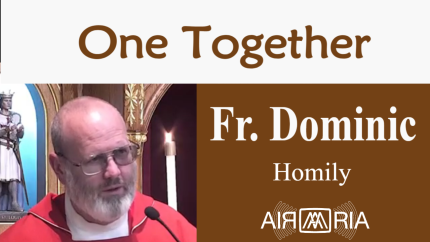 One Community – Jun 05 – Homily – Fr Dominic One Community – Jun 05 – Homily – Fr Dominic