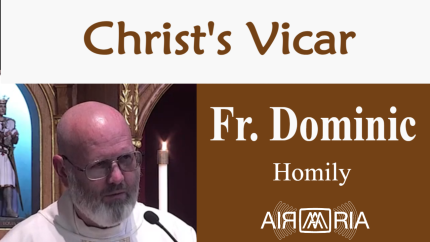 Peter Restored – Jun 06 – Homily – Fr Dominic