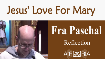 Love For Mary – June 7 – Reflection – Fra Paschal