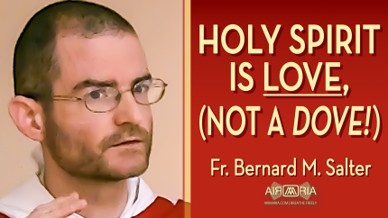 The Identity of the Holy Spirit – Jun 08 – Homily – Fr Bernard The Identity of the Holy Spirit – Jun 08 – Homily – Fr Bernard