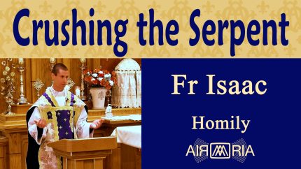 Spiritual Battle Under Mary’s Protection – Jun 09 – Homily – Fr Isaac