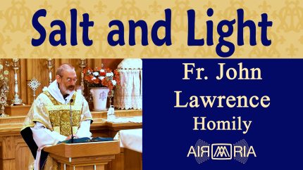 Spreading the Gospel Through Faithful Action – Jun 10 – Homily – Fr John Lawrence