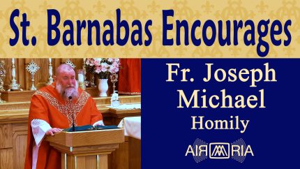 St. Barnabas: Son of Encouragement – Jun 11 – Homily – Fr Joseph Michael