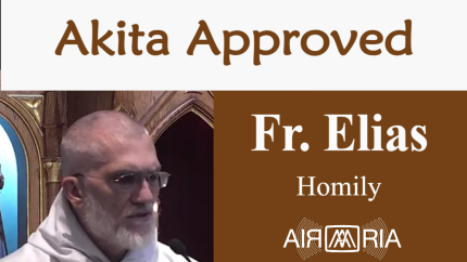 A Statue Wept – Jun 12 – Homily – Fr Elias