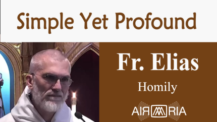 Better Known Than St Francis – Jun 13 – Homily – Fr Elias