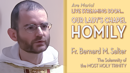 The Solemnity of the Most Holy Trinity – Jun 15 – Homily – Fr Bernard