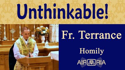 How God Wants You to Respond to Difficulties – Jun 16 – Homily – Fr Terrance