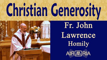 Loving Enemies as God Does – Jun 17 – Homily – Fr John Lawrence