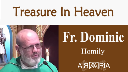 Spiritually Greedy – Jun 20 – Homily – Fr Dominic Spiritually Greedy – Jun 20 – Homily – Fr Dominic