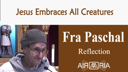 Embracing All Creatures – June 20 – Reflection – Fra Paschal