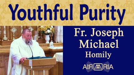 St. Aloysius Gonzaga’s Path to Holiness – Jun 21 – Homily – Fr Joseph Michael