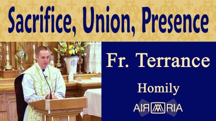 The Holy Eucharist: Sacrifice, Communion, Presence – Jun 22 – Homily – Fr Terrance