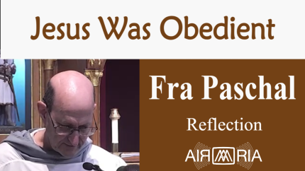Obedience – June 24 – Reflection – Fra Paschal Obedience – June 24 – Reflection – Fra Paschal