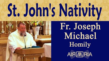 John the Baptist, Bridging the Old and the New – Jun 24 – Homily – Fr Joseph Michael John the Baptist, Bridging the Old and the New – Jun 24 – Homily – Fr Joseph Michael