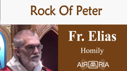 At Great Price – Jun 26 – Homily – Fr Elias