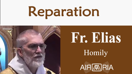 Wounded Heart – Jun 27 – Homily – Fr Elias