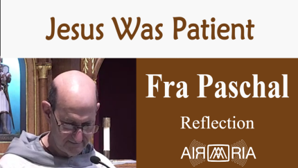Patience – June 28 – Reflection – Fra Paschal