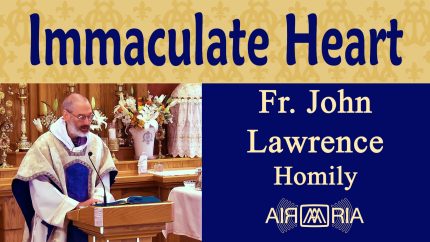 Entering Jesus’ Heart Through Mary’s – Jun 28 – Homily – Fr John Lawrence