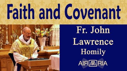 Abraham’s Faith and God’s Covenant Promise- Jun 25 – Homily – Fr John Lawrence