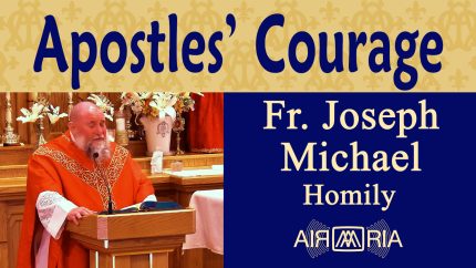 Courage and Faith of Peter and Paul – Jun 29 – Homily – Fr Joseph Michael