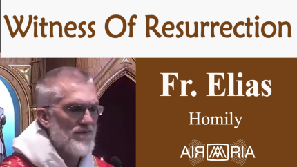 Witness Of Resurrection – Jul 03 – Homily – Fr Elias