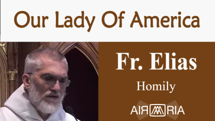 Our Independence – Jul 04 – Homily – Fr Elias Our Independence – Jul 04 – Homily – Fr Elias
