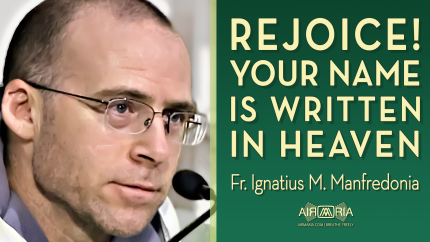 Why Being Catholic Should Fill You With Joy – Jul 06 – Homily – Fr Ignatius Why Being Catholic Should Fill You With Joy – Jul 06 – Homily – Fr Ignatius