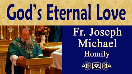 God’s Love Surpasses All Human Tragedy – Jul 07 – Homily – Fr Joseph Michael