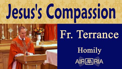 A Window into God’s Heart – Jul 08 – Homily – Fr Terrance