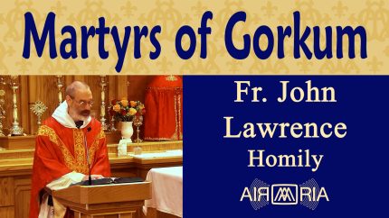 Franciscan Martyrs of Gorkum: Faith in Persecution – Jul 09 – Homily – Fr John Lawrence Franciscan Martyrs of Gorkum: Faith in Persecution – Jul 09 – Homily – Fr John Lawrence