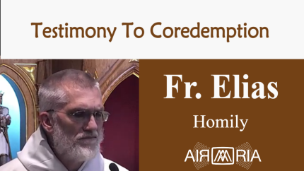 A Great Mystic – Jul 10 – Homily – Fr Elias A Great Mystic – Jul 10 – Homily – Fr Elias