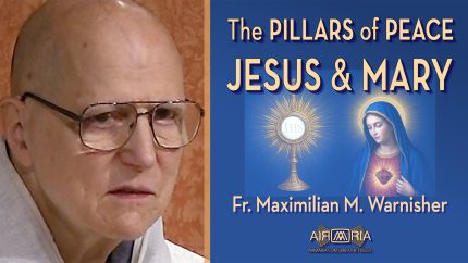 Mary and the Eucharist Will Save the World – Jul 12 – Homily – Fr Maximilian W Mary and the Eucharist Will Save the World – Jul 12 – Homily – Fr Maximilian W