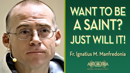 God’s Law Is Knowable, Doable, and Brings Joy – Jul 13 – Homily – Fr Ignatius