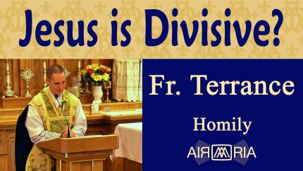 Aiming First at God’s Peace – Jul 14 – Homily – Fr Terrance Aiming First at God’s Peace – Jul 14 – Homily – Fr Terrance
