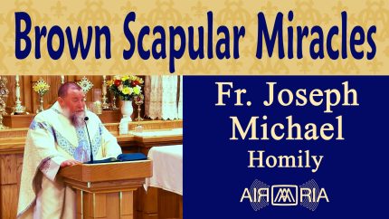 Feast of Our Lady of Mount Carmel – Jul 16 – Homily – Fr Joseph Michael Feast of Our Lady of Mount Carmel – Jul 16 – Homily – Fr Joseph Michael